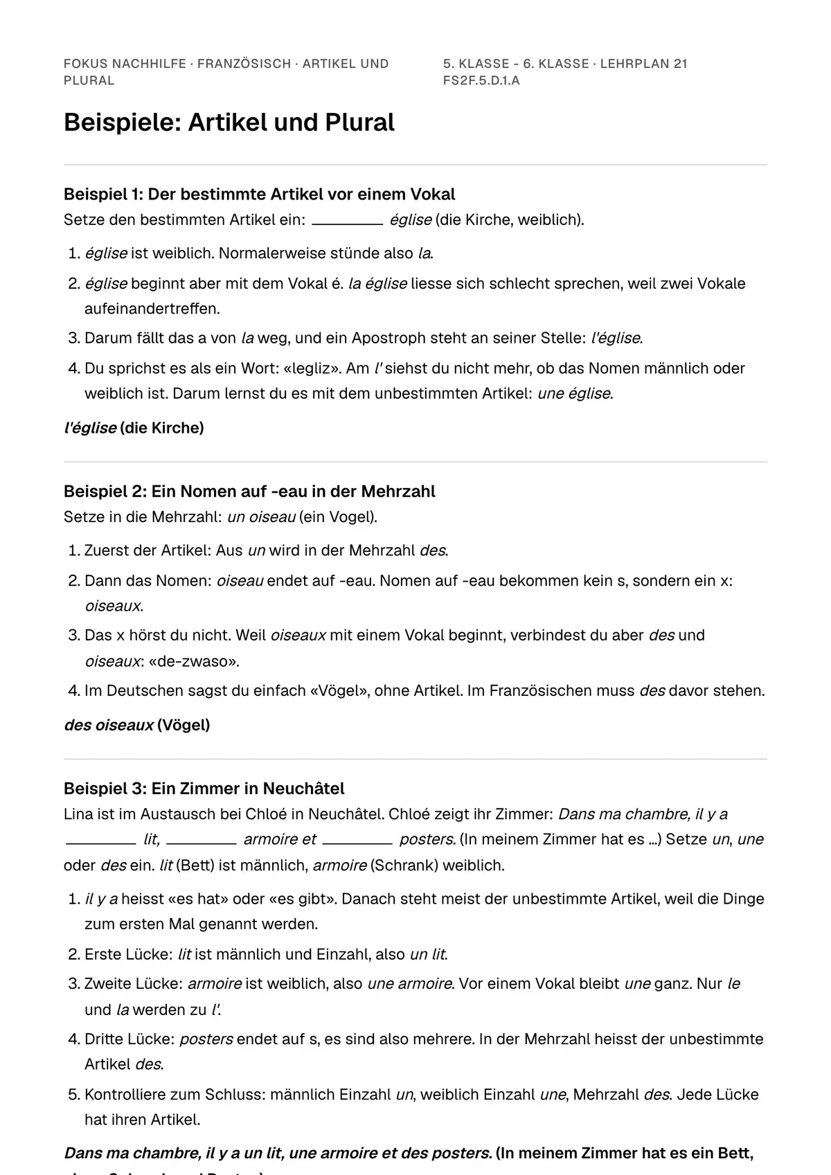 Beispiele Artikel und Plural zum Ausdrucken: erste Seite, Aufgaben Schritt für Schritt gelöst