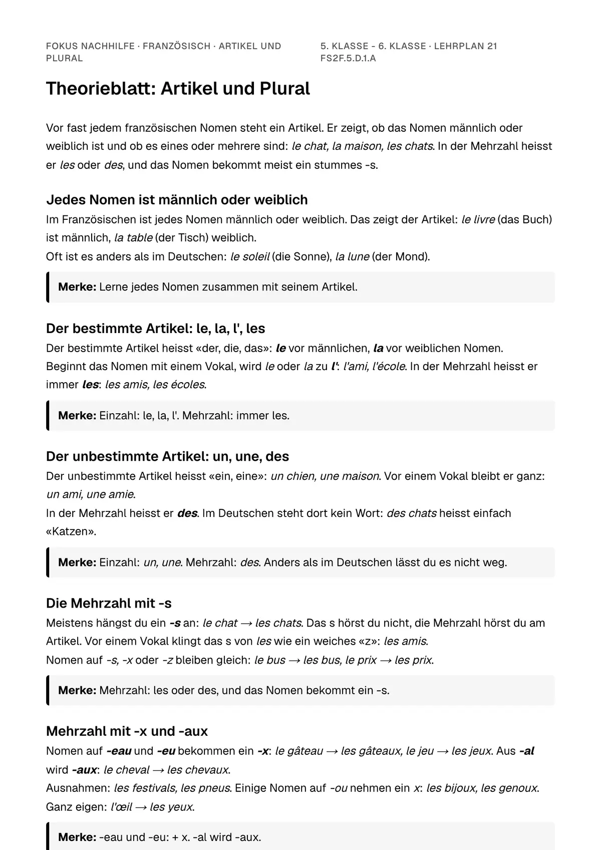 Theorieblatt Artikel und Plural zum Ausdrucken: erste Seite der Erklärung