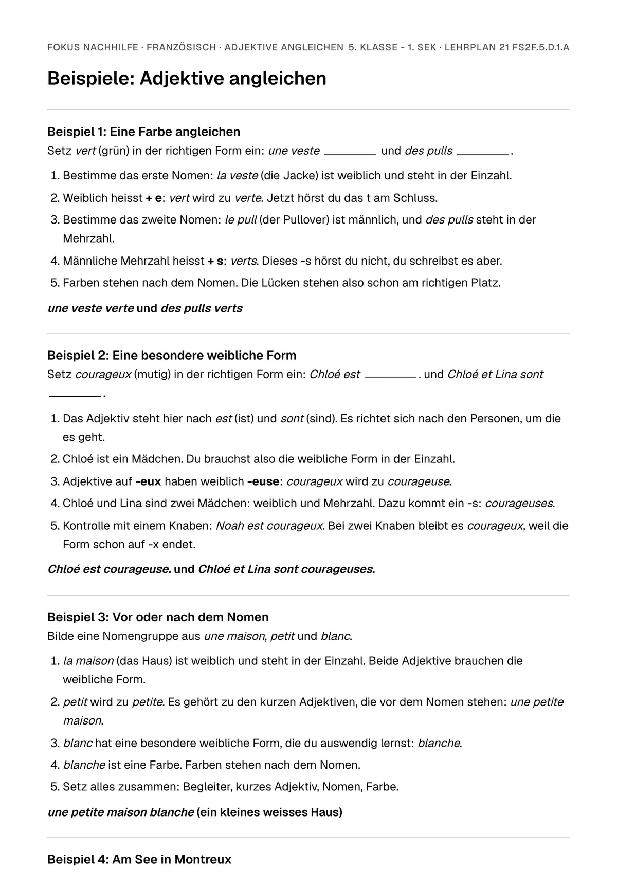 Beispiele Adjektive angleichen zum Ausdrucken: erste Seite, Aufgaben Schritt für Schritt gelöst