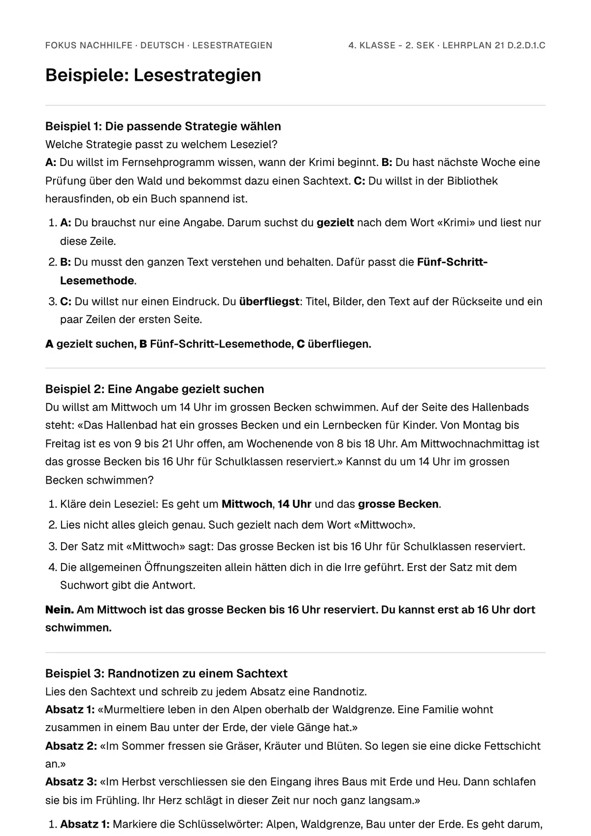 Beispiele Lesestrategien zum Ausdrucken: erste Seite, Aufgaben Schritt für Schritt gelöst