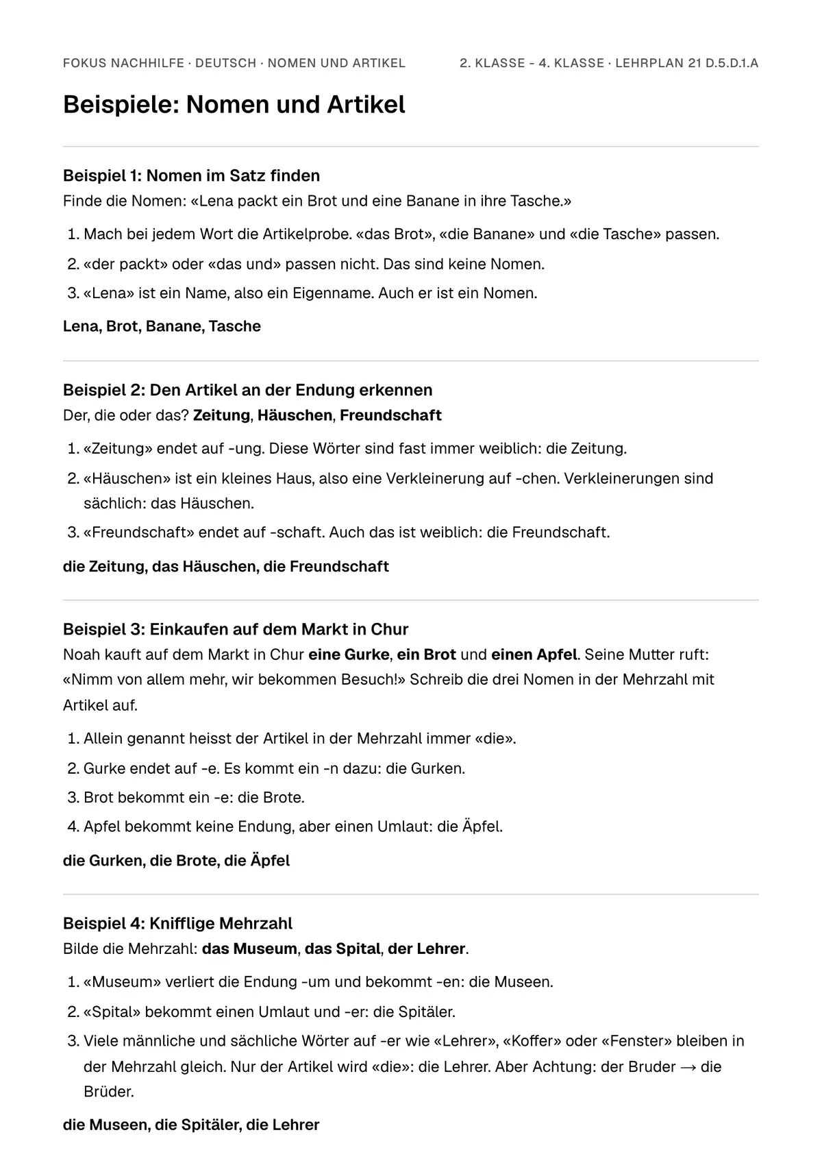 Beispiele Nomen und Artikel zum Ausdrucken: erste Seite, Aufgaben Schritt für Schritt gelöst