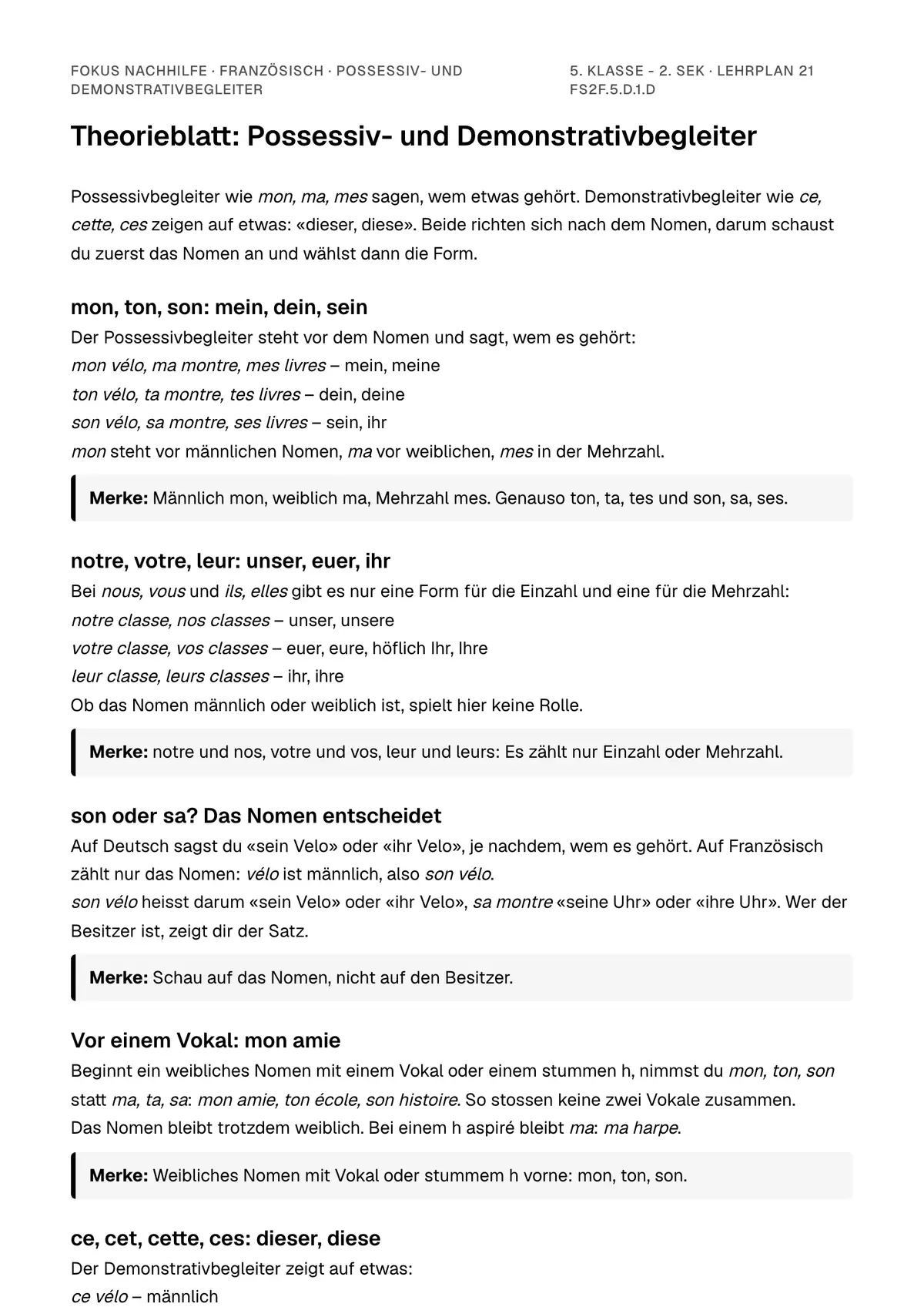 Theorieblatt Possessiv- und Demonstrativbegleiter zum Ausdrucken: erste Seite der Erklärung